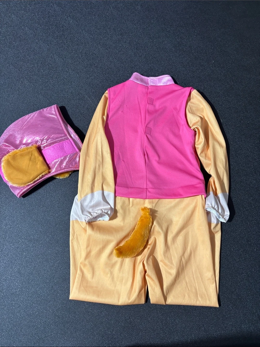 Paw Patrol Sky Costume